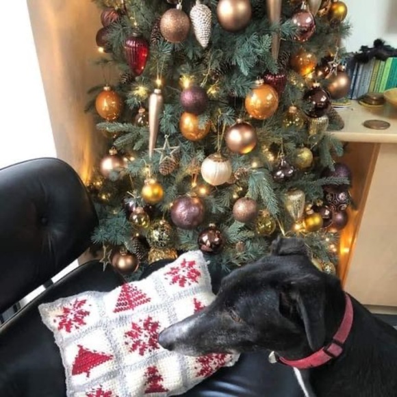 Meet your Posher, Gill - Picture 1 of 1